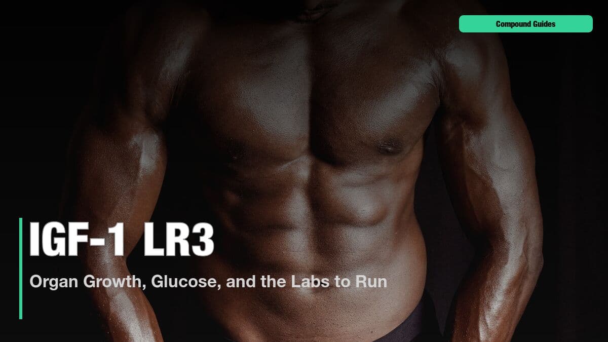 Does IGF-1 LR3 Make Your Organs Grow?