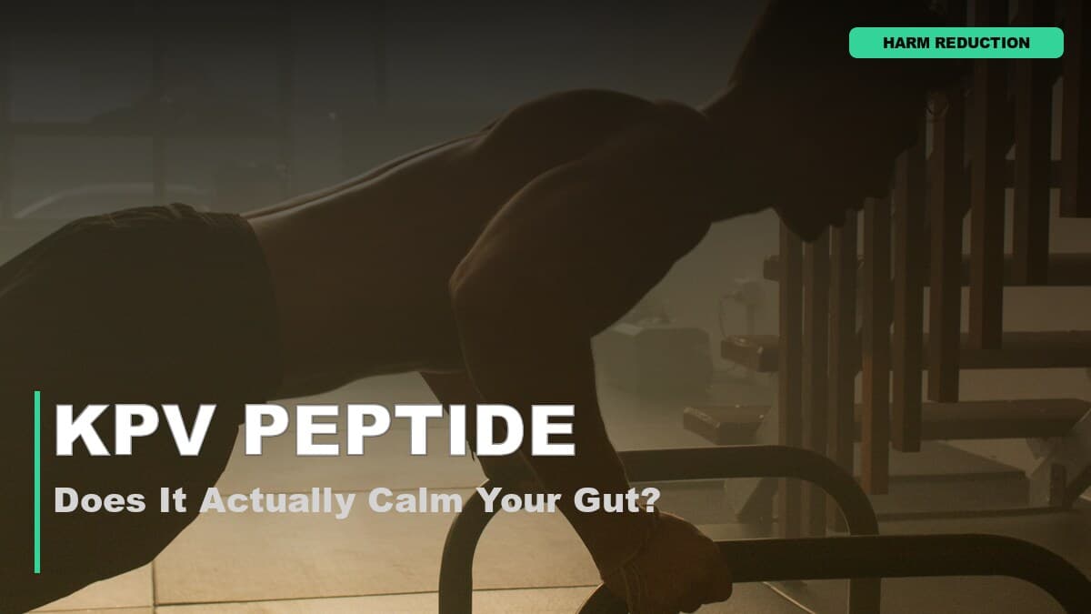 Does KPV Peptide Actually Calm Inflammation in the Gut?