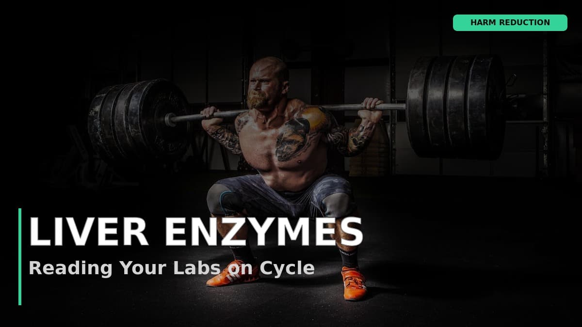 Liver Enzymes on Steroids: How to Read Your ALT, AST and GGT