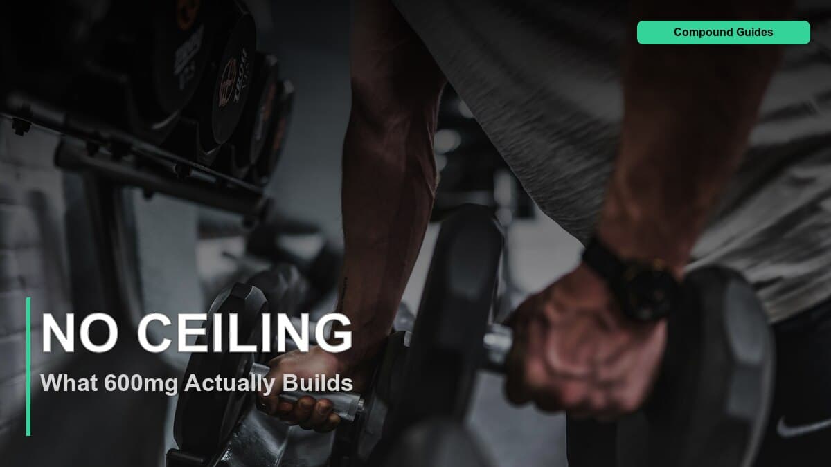 Does More Testosterone Build More Muscle? (600mg Trial Data)