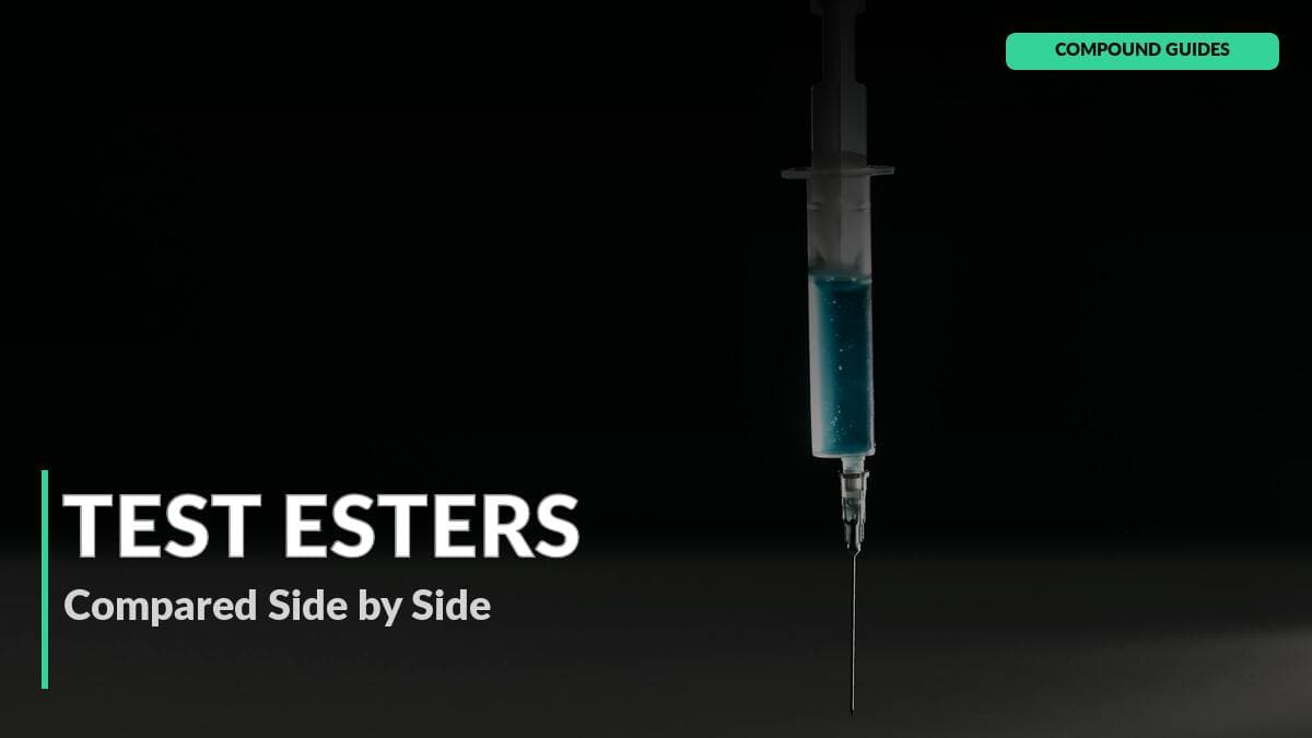 Testosterone Esters Compared: Enanthate, Cyp, Nebido, Sus, Test 400